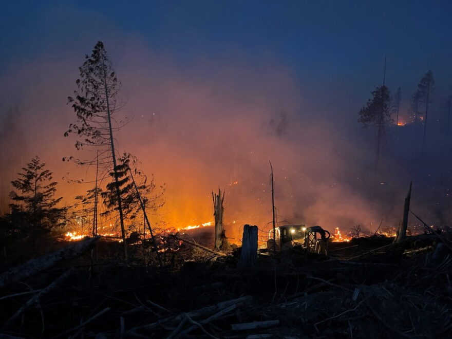 The Idaho Department of Lands managed the Tyson Fire, which firefighters responded to in Benewah County in July 2023.