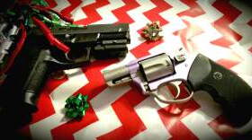 A measure that would expand how and where Florida's more than 1.67 million concealed-weapons license holders can carry handguns may have an easier path through the Senate in 2017 than in the past.