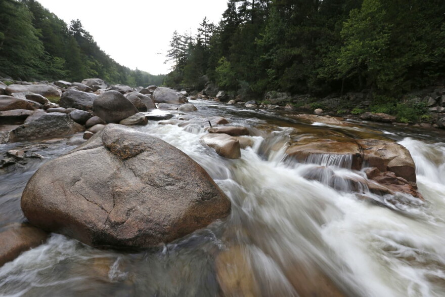  Burts Bees co-founder Roxanne Quimbys foundation last August donated 87,000 acres to the federal government for the Katahdin Woods and Waters National Monument in Maine's North Woods. (Robert F. Bukaty/AP)