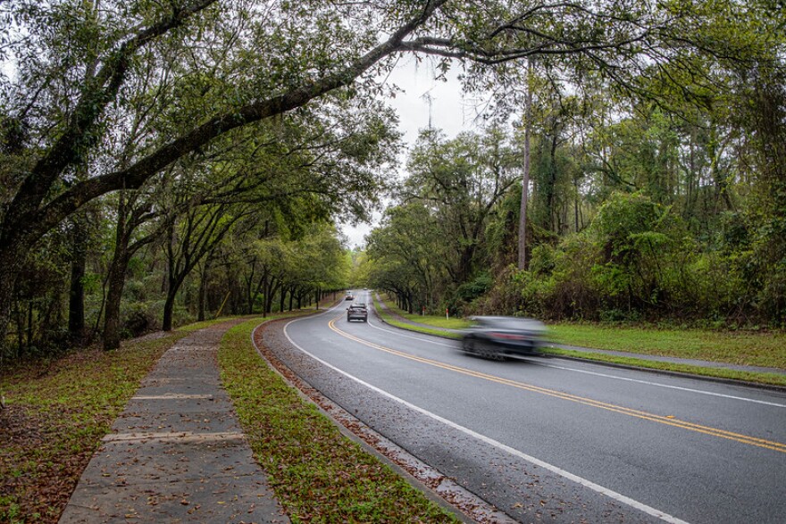 Cars ride down a street lined with trees and shrubbery.