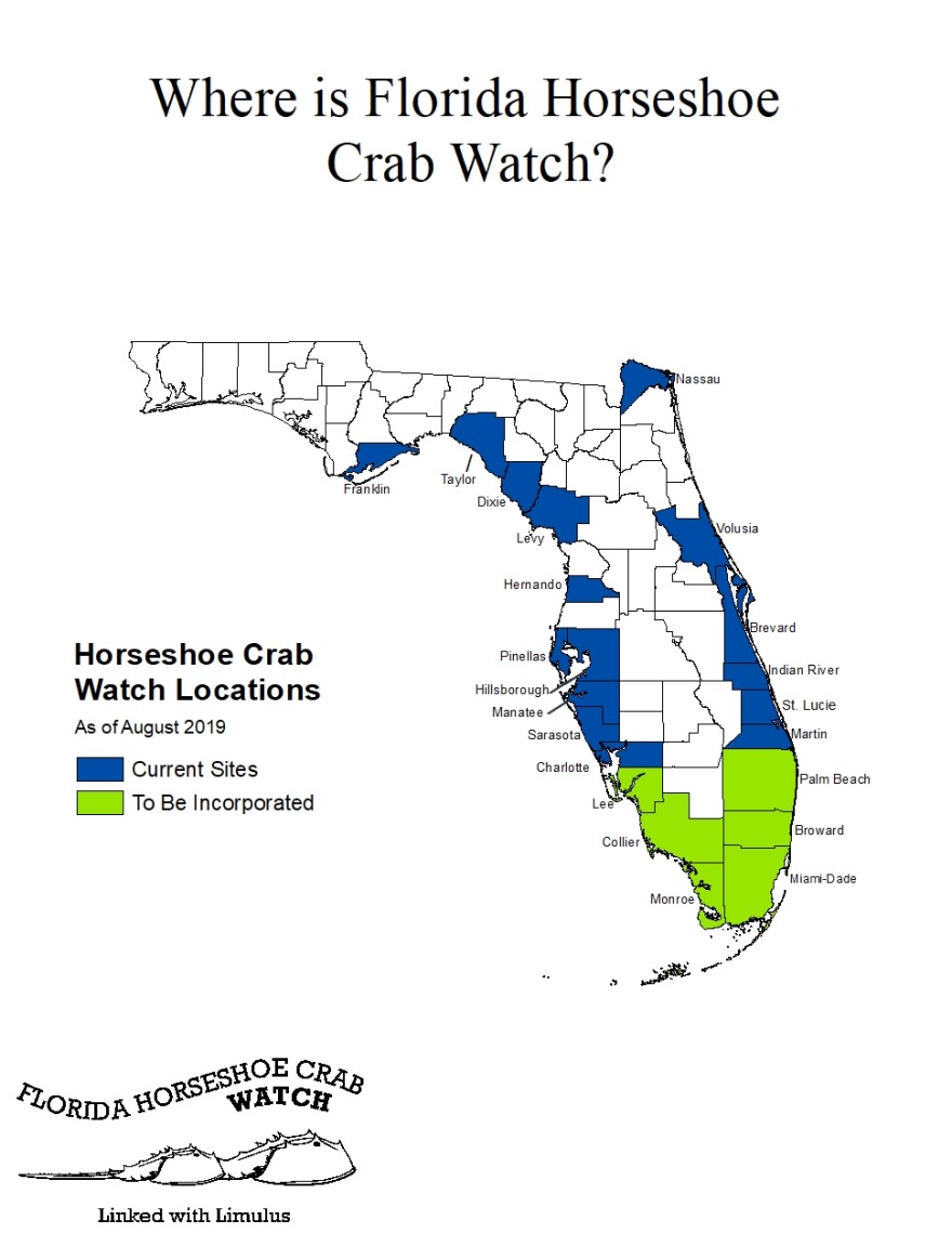 A map of Florida counties where volunteer programs count horseshoe crabs. Credit: FWC