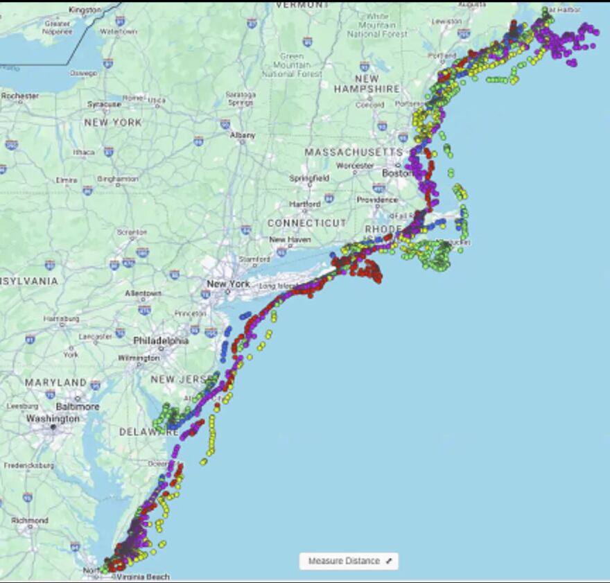 A map of satellite-tagged harbor seals in 2022.