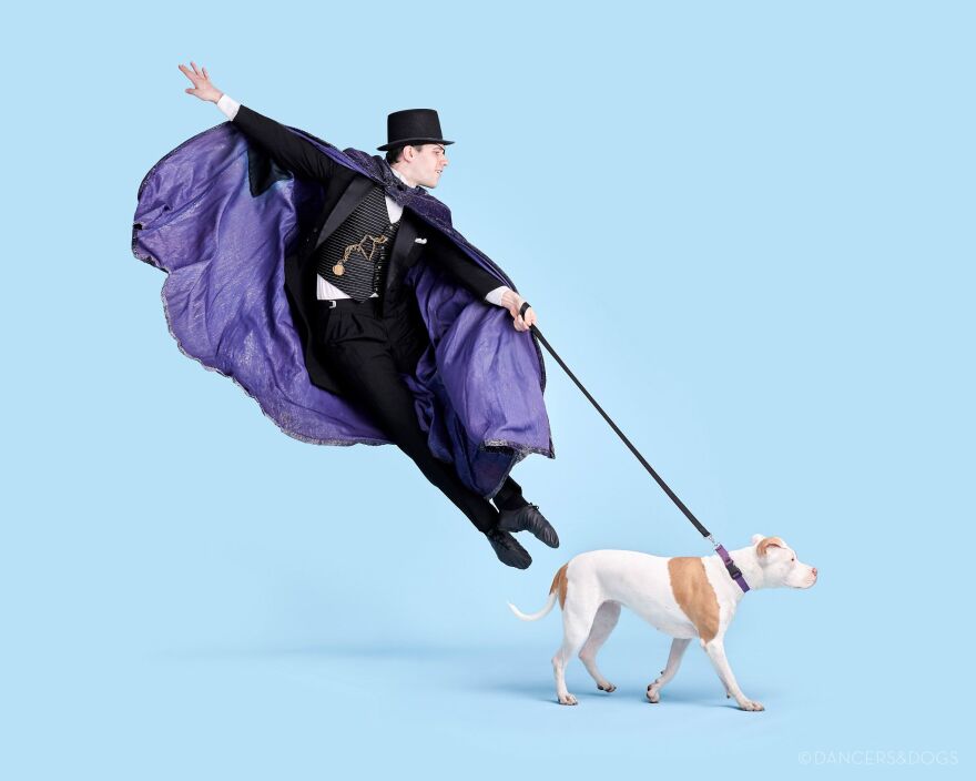 St. Louis Ballet dancer Mark-David Bloodgood with Shae, an adoptable dogs at Stray Rescue animal shelter.