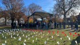 Organizers of the World Day of Remembrance for Road Traffic Victims event in New Haven on Sunday, Nov. 17, 2024, planted 342 flags, each representing a person killed on Connecticut roads in the last year. White flags represent drivers and passengers; red flags represent bicyclists and pedestrians.