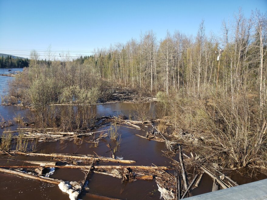 A photo of the flooded Salcha River in Interior Alaska looking south from the Salcha River bridge on May 11, 2020. The National Weather Service predicts water levels will remain high through the week. (Photo from National Weather Service Alaska)