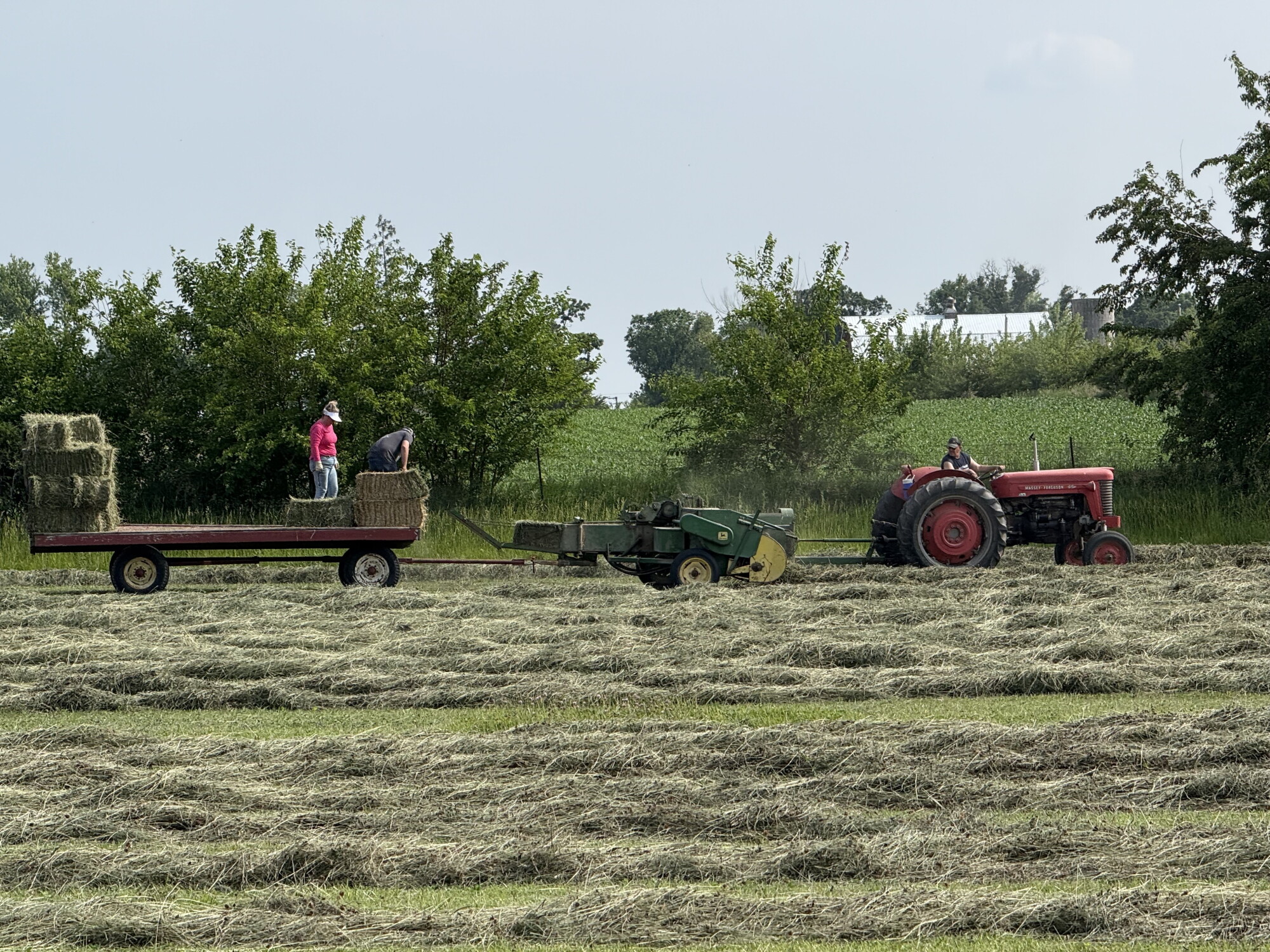 Perspective: Make hay while the sun shines episode artwork