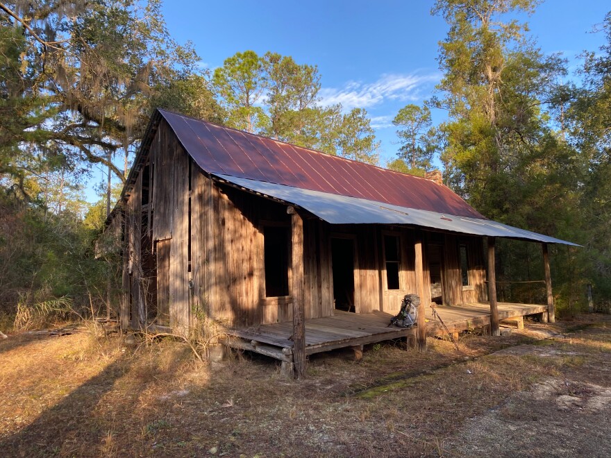 Photo of a Pioneer homestead in the Appalachicola National Forest, taken December 2022.