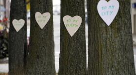 Heart-shaped cut-outs with messages of positivity adorns trees in downtown Lewiston, Maine, Thursday, Oct. 26, 2023. The signs are some of the 100 hearts put up by Miaa Zellner of Turner, Maine, to show her love and support for the community in the wake of Wednesday's mass shootings.