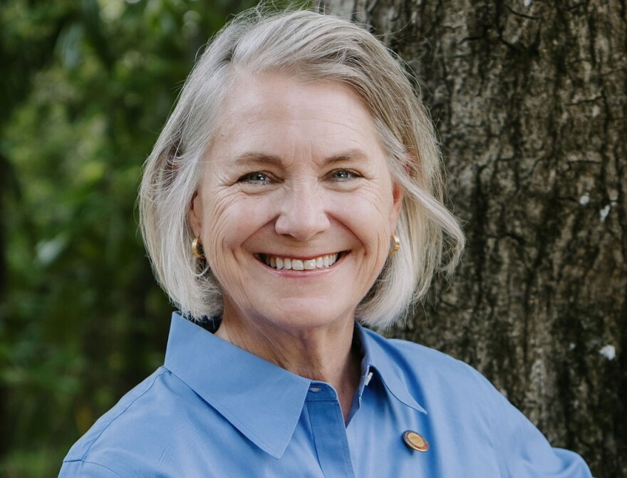 Democratic incumbent Deb Butler is on the ballot for the midterm elections, taking place Tuesday, Nov. 3, 2026. (Courtesy photo)