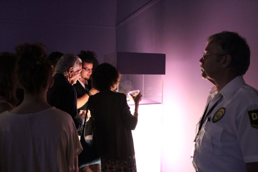 Moon Museum chip draws a crowd at 2014 exhibition at the Bob Rauschenberg Gallery.