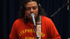 Fish-Head & The Bones performing live in WNIJ's Studio A