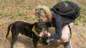 Host Robin Young with the dog she volunteered to walk. (Robin Young/Here & Now)