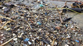 This Jan. 19, 2020 photo shows microplastic debris that has washed up at Depoe Bay, Ore. Dozens of scientists from around the U.S. West will attend a gathering this week in Bremerton, Wash., to better focus the research on the environmental threat. (AP Photo/Andrew Selsky)