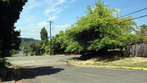 Power lines near 26th Ave and Jefferson St pass through tree branches in this August 14, 2026 photo.