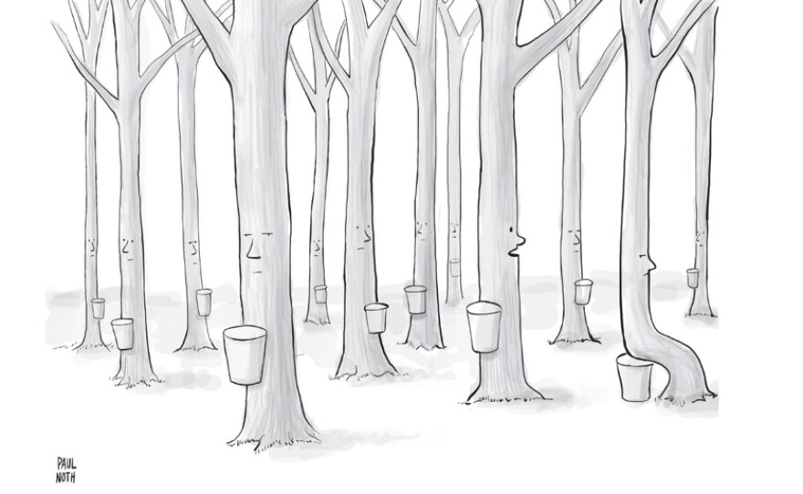 Paul Noth's maple tree cartoon, "No, Martin. Not like that." was one of the submissions that wasn't accepted by the New Yorker.