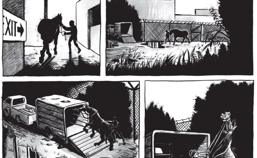 In a scene from the novel, Ruffu removes Urgent Envoy from another trainer's barn at Hollywood Park around midnight on Christmas Eve 2004. The story portrays Ruffu as a hero who rescues the horse from certain death.