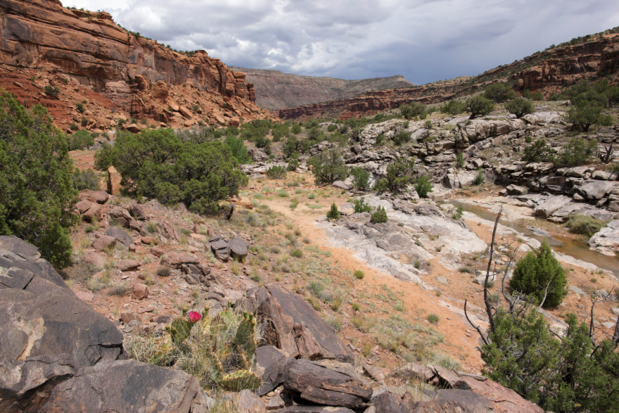 A rocky desert landscape dotted with brush and tall rock outcroppings.