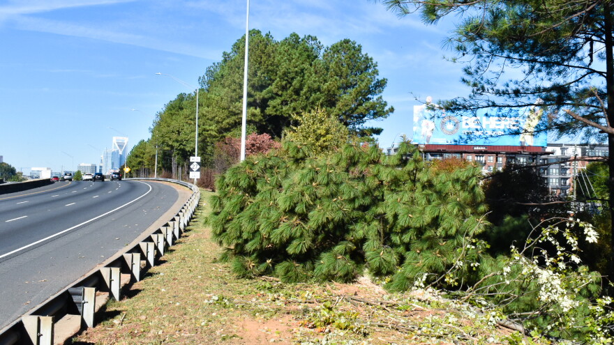 Adams Outdoor Advertising cleared the forested buffer between Plaza Midwood and Independence Boulevard.