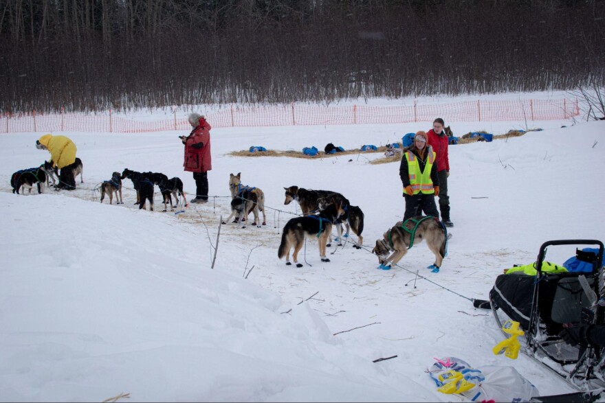 Checkpoint officials and veterinarians check out Dane Baker’s sled dog team upon his arrival to Galena on the morning of March 7, 2025.