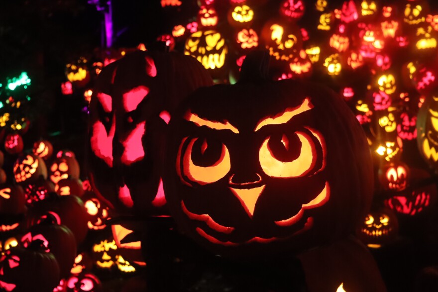 Two jack-o-lanterns with silly faces surrounded by a wall of other jack-o-lanterns at Iroquois Park