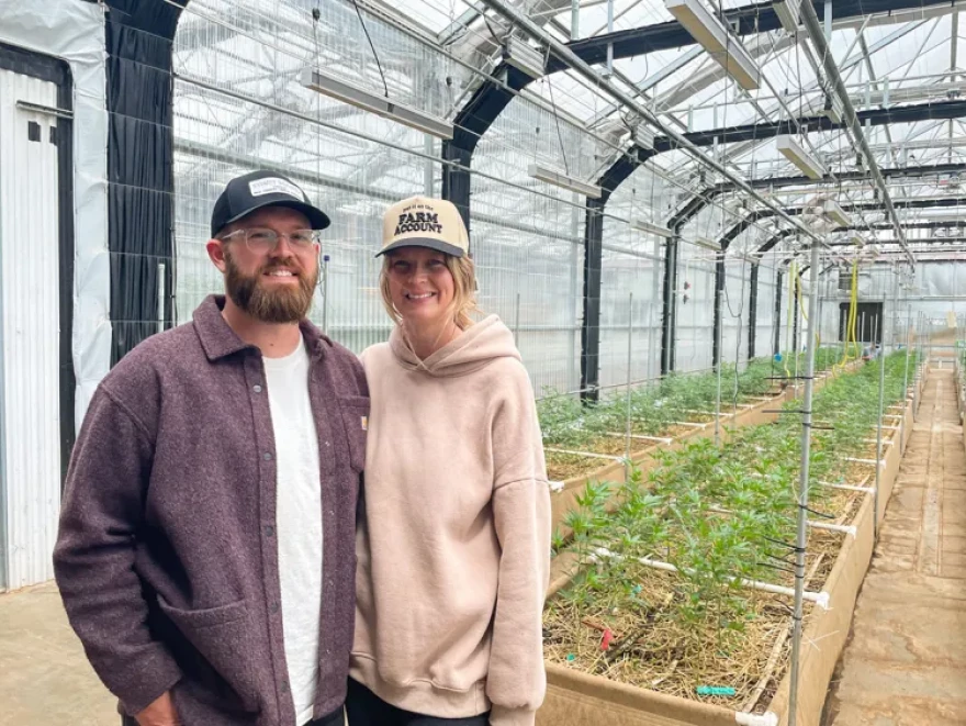 Stoney Branch Farms co-founders Justin and Anna Ward say that while the hemp industry is booming, regulating it the same as cannabis would be a massive blow to their farm. “If we could just get some sensible regulation, I think that it would help a lot of business owners feel confident enough to really put their whole weight behind their business,” Anna Ward said.