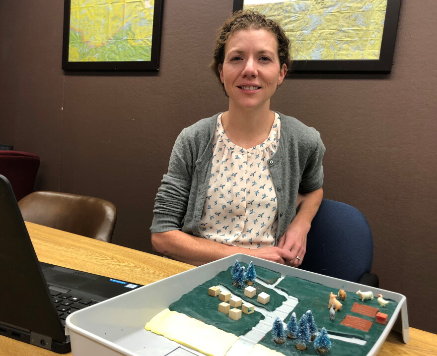 Beth Herndon teaches geology at Kent State University. Her research looks at how minerals in permafrost affect the rate of carbon release.