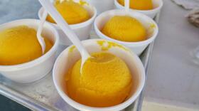 Mango freeze is a sweet, cool classic at Jazz Fest.