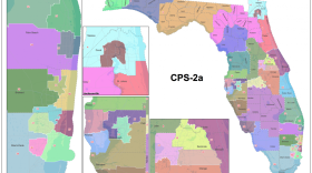 A judge approved on Wednesday this map submitted by the League of Women Voters and Common Cause.