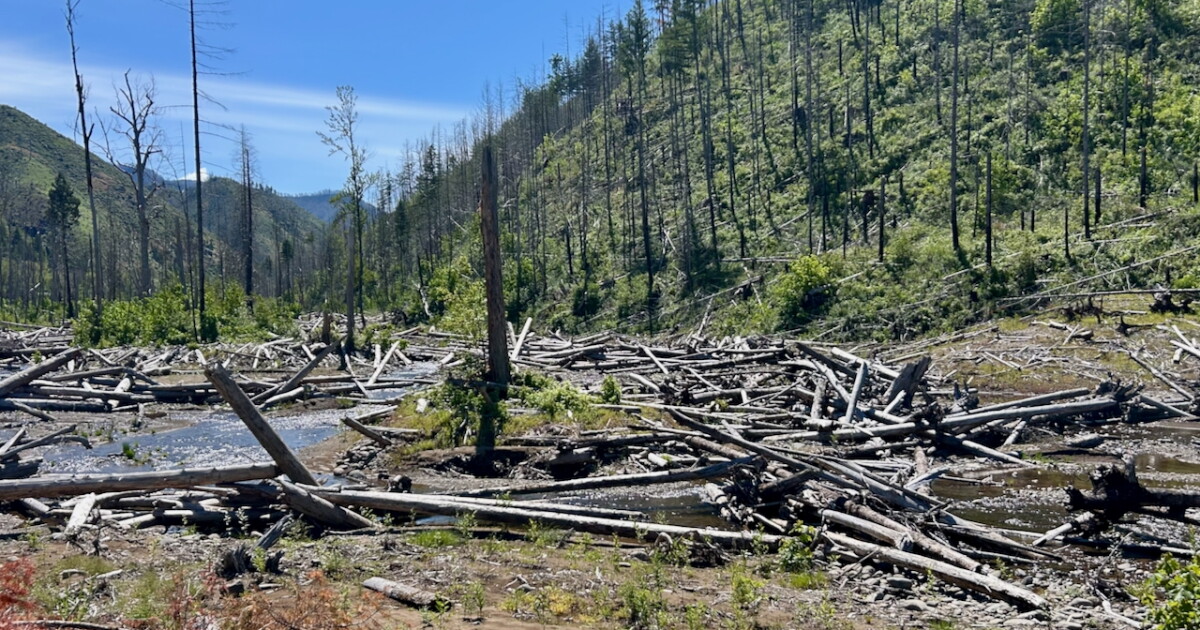 McKenzie Watershed Alliance says it was embezzled; EWEB wants to know if its funds were impacted