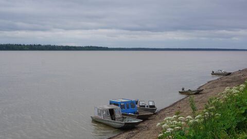 Boats pictured along the bank of the Yukon River in Grayling.