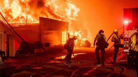 Ventura County firefighters at the Palisades Fire.