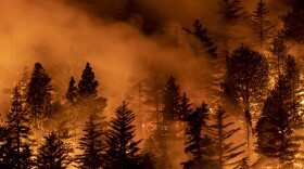 The Bobcat Fire burns through the Angeles National Forest on Sept. 11, 2020 north of Monrovia, California. (David McNew/Getty Images)