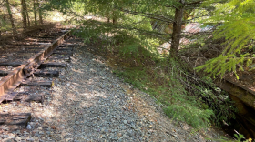 A section of railroad track next to an eroded shoulder and an old rusted train car that derailed many years ago. A tree has grown between the track and the derailed car.