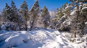 (Frank Bienewald/LightRocket via Getty Images)