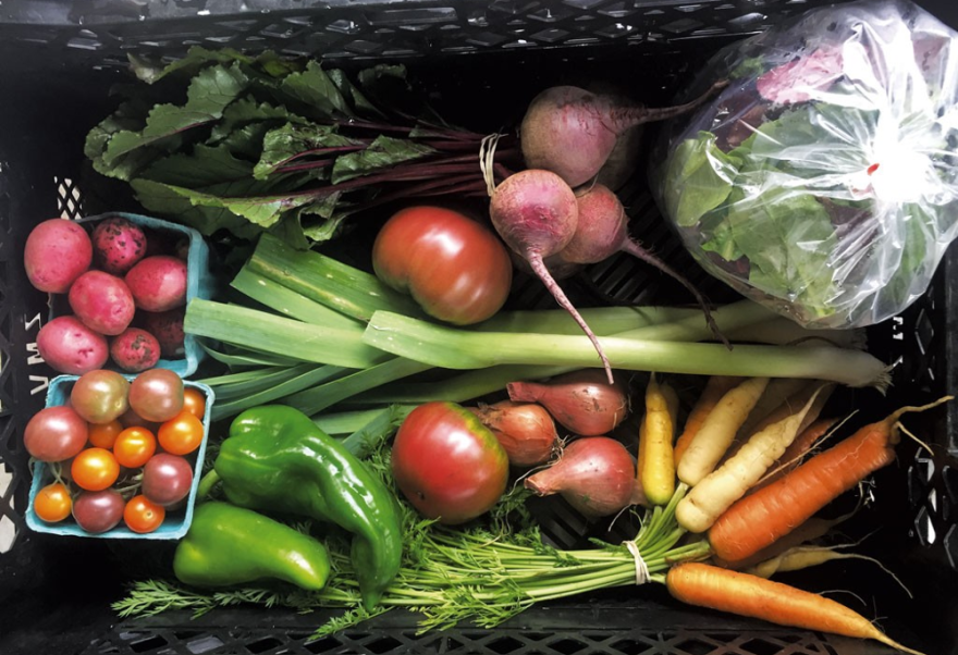 A basket of farm producer from a Vermont CSA