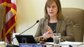 Sen. Mia Costello, R-Anchorage, during a Senate Labor & Commerce Committee meeting in March. She sponsored a bill that would allow regulators to charge a cellphone fee to support services for people who are deaf. (Photo by Skip Gray/360 North)