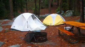 A white tent and a yellow and white tent have been sent up on the ground at a campsite next to a picnic table. A pet carrier is in the foreground.