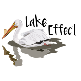 A painting of a pelican against a white background. Text reads, "Lake Effect."