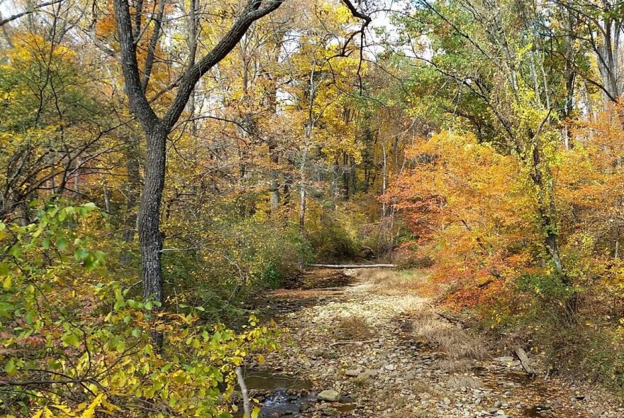 Jacobsburg Environmental Education Center