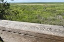 Visitors have carved their names into Paynes Prairie Preserve State Park’s 50-foot-high observation tower. The structure was last rebuilt in 2015 and offers a scenic view of the park.