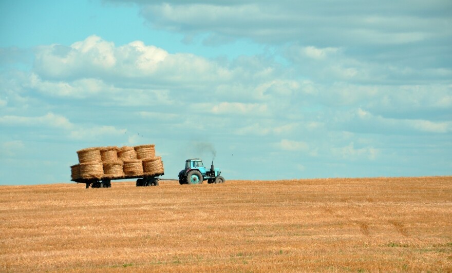 Hay field. File photo.