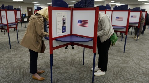 Voters stand in partitioned booths 