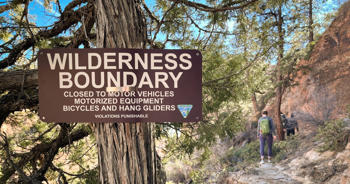 Utah’s historic snow drought is one that trees will likely never forget