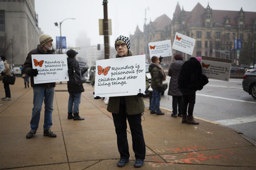 Barbara Chicherio, of the Gateway Green Alliance, protests Monsanto outside the Civil Courts Building on Jan. 24, 2020.