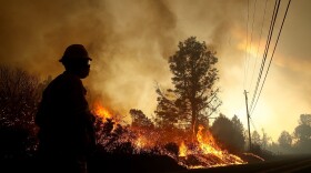 The Camp Fire moves through the area on Nov. 8, 2018 in Paradise, California. (Justin Sullivan/Getty Images)