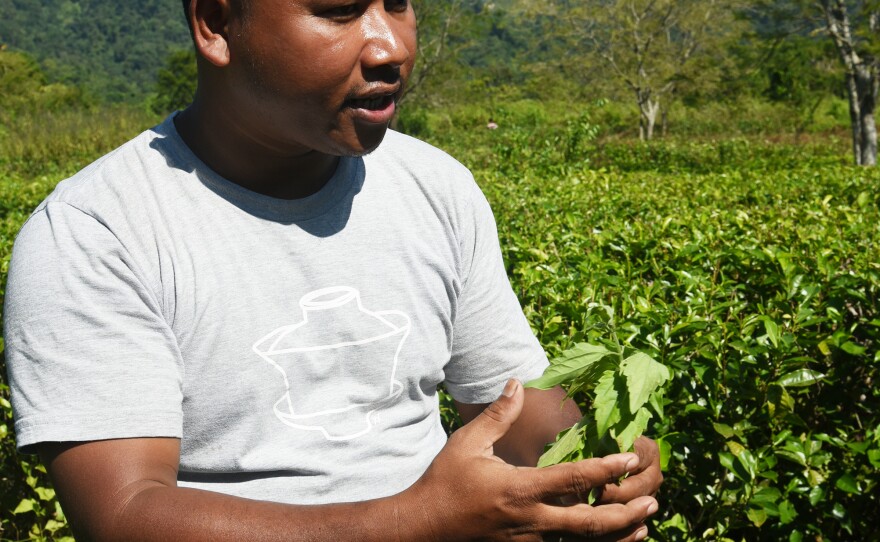 Tenzing Bodosa is a tea grower and a staunch practitioner of organic farming. He stands in his small tea estate beside the nature preserve he has cultivated. <strong> </strong>