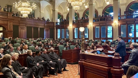 The Illinois House of Representatives at the state Capitol in Springfield.