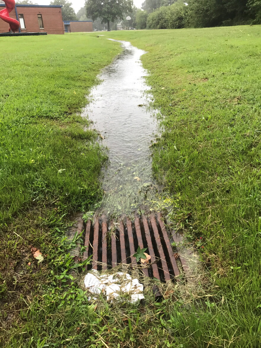 Stormwater runoff entering a municipal drain.