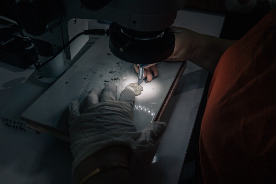 A member of the Zerzevan Castle excavation and restoration team looks into a microscope while studying a coin found at the archaeological site.