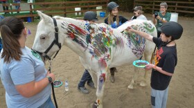 Clients at Northland Therapeutic Riding Center brush and hand paint with tempura colors onto Molly, a 29-year-old Pony of the Americas as part of their equine therapy.